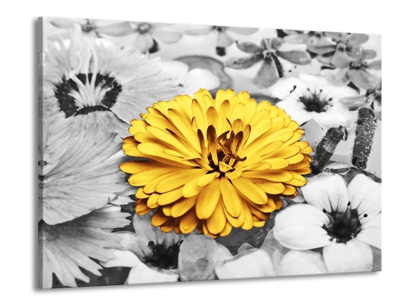 Canvas schilderij Bloem | Geel, Grijs | 100x70cm 1Luik