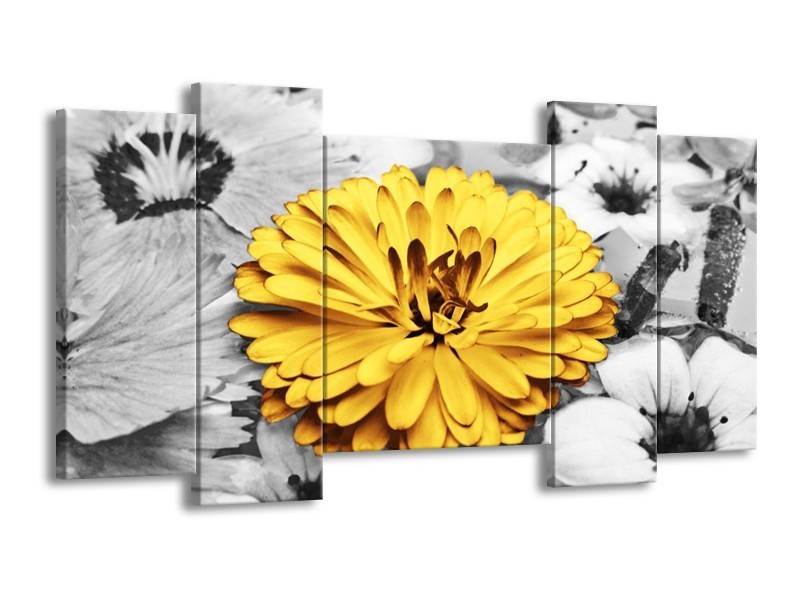 Canvas schilderij Bloem | Geel, Grijs | 120x65 5Luik