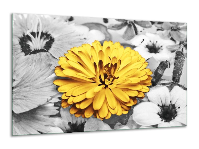 Canvas schilderij Bloem | Geel, Grijs | 120x70cm 1Luik