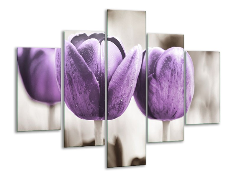 Canvas schilderij Tulpen | Paars, Grijs, Wit | 100x70cm 5Luik
