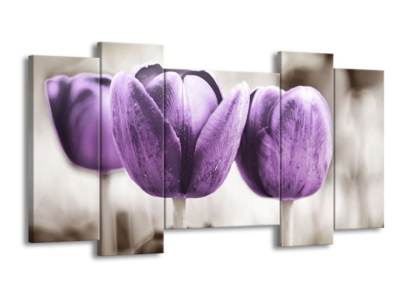 Canvas schilderij Tulpen | Paars, Grijs, Wit | 120x65 5Luik