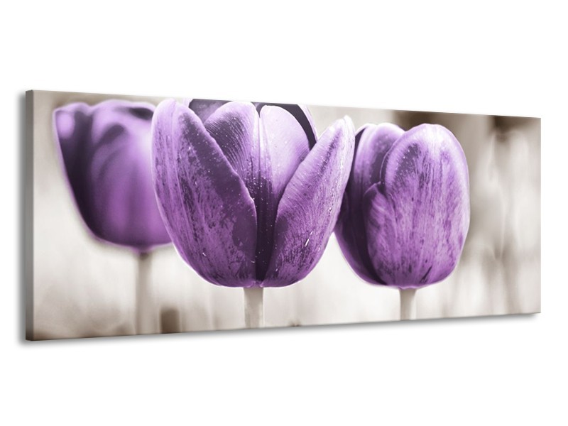 Canvas schilderij Tulpen | Paars, Grijs, Wit | 145x58cm 1Luik