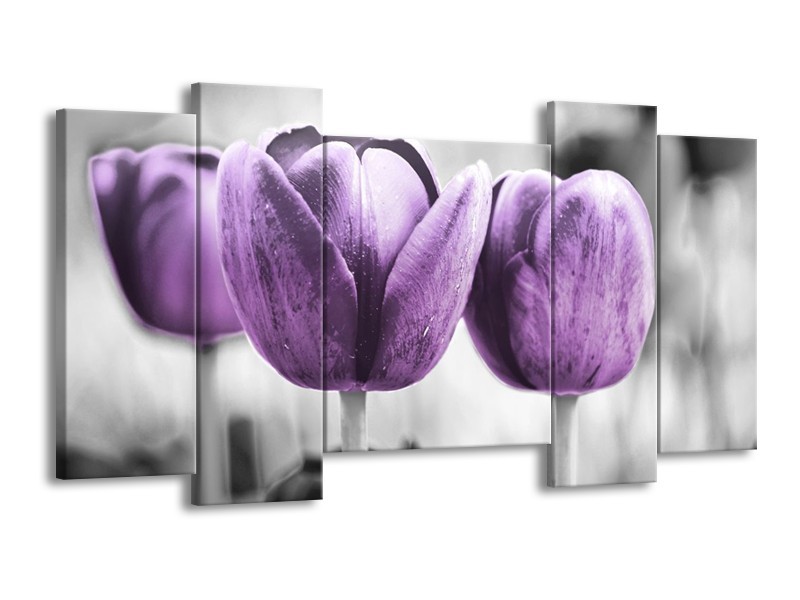 Canvas schilderij Tulpen | Paars, Grijs, Wit | 120x65 5Luik