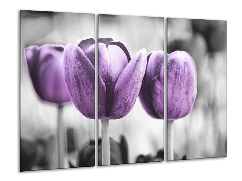 Canvas schilderij Tulpen | Paars, Grijs, Wit | 120x80cm 3Luik