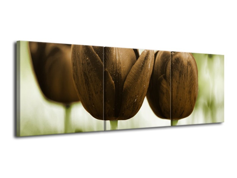 Glas schilderij Tulpen | Bruin, Groen | 120x40cm 3Luik