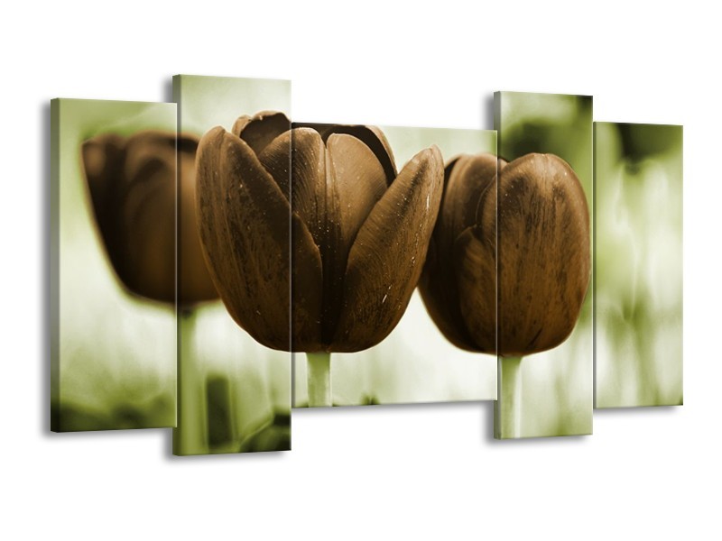 Canvas schilderij Tulpen | Bruin, Groen | 120x65 5Luik