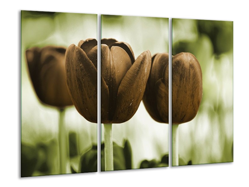 Canvas schilderij Tulpen | Bruin, Groen | 120x80cm 3Luik