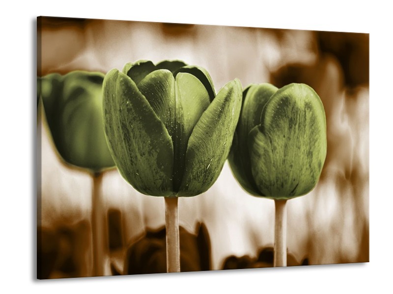 Canvas schilderij Tulpen | Bruin, Groen | 100x70cm 1Luik