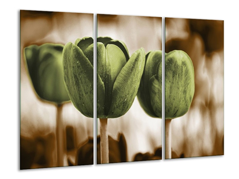 Canvas schilderij Tulpen | Bruin, Groen | 120x80cm 3Luik
