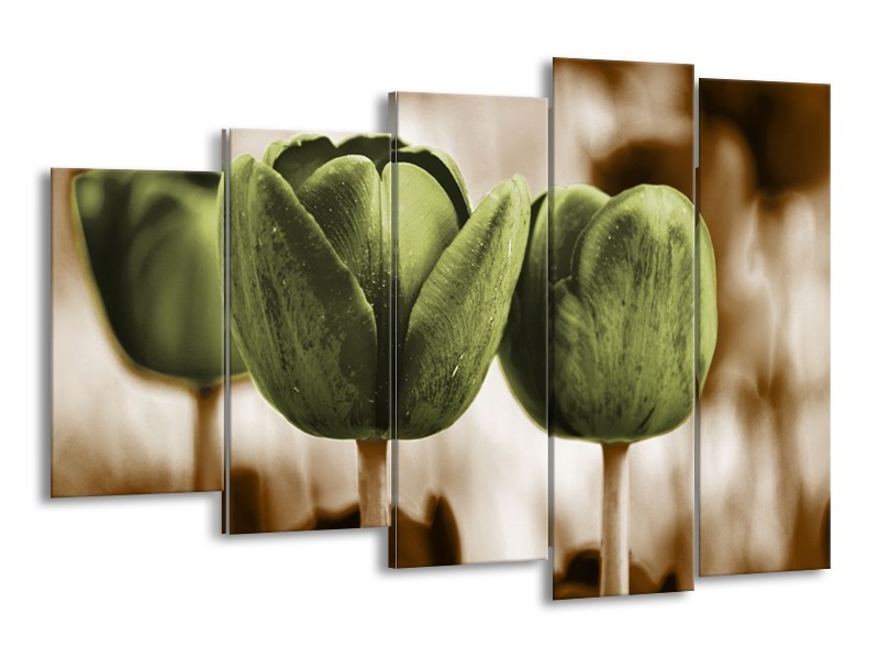 Canvas schilderij Tulpen | Bruin, Groen | 150x100cm 5Luik