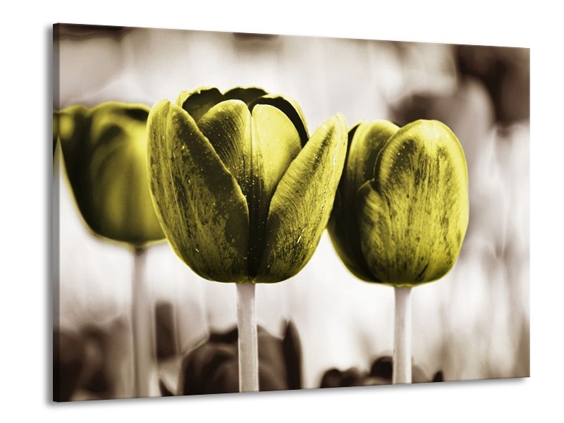Canvas schilderij Tulpen | Bruin, Groen | 100x70cm 1Luik