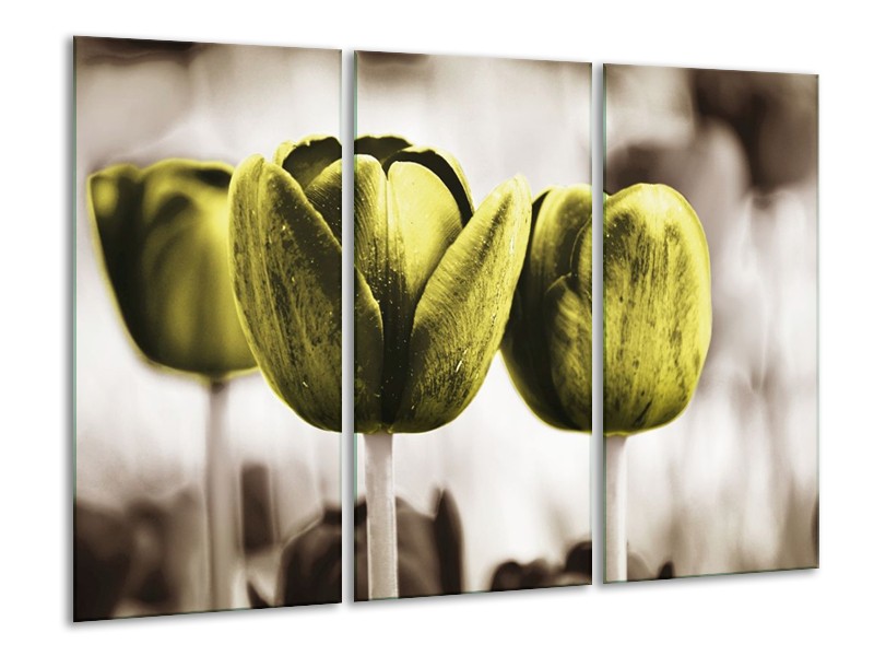 Canvas schilderij Tulpen | Bruin, Groen | 120x80cm 3Luik