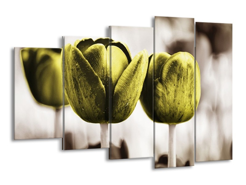 Canvas schilderij Tulpen | Bruin, Groen | 150x100cm 5Luik