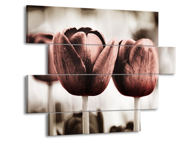 Canvas schilderij Tulpen | Bruin, Wit | 115x85cm 4Luik