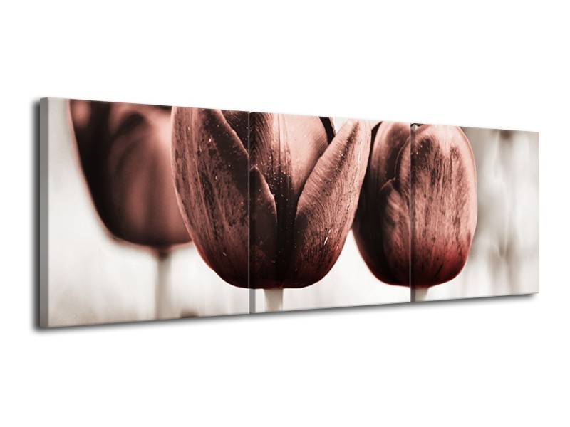 Glas schilderij Tulpen | Bruin, Wit | 120x40cm 3Luik