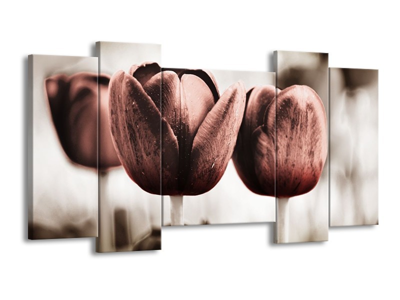 Canvas schilderij Tulpen | Bruin, Wit | 120x65 5Luik