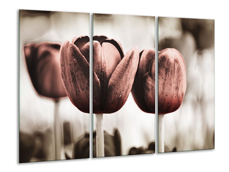 Canvas schilderij Tulpen | Bruin, Wit | 120x80cm 3Luik