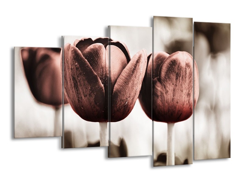 Canvas schilderij Tulpen | Bruin, Wit | 150x100cm 5Luik