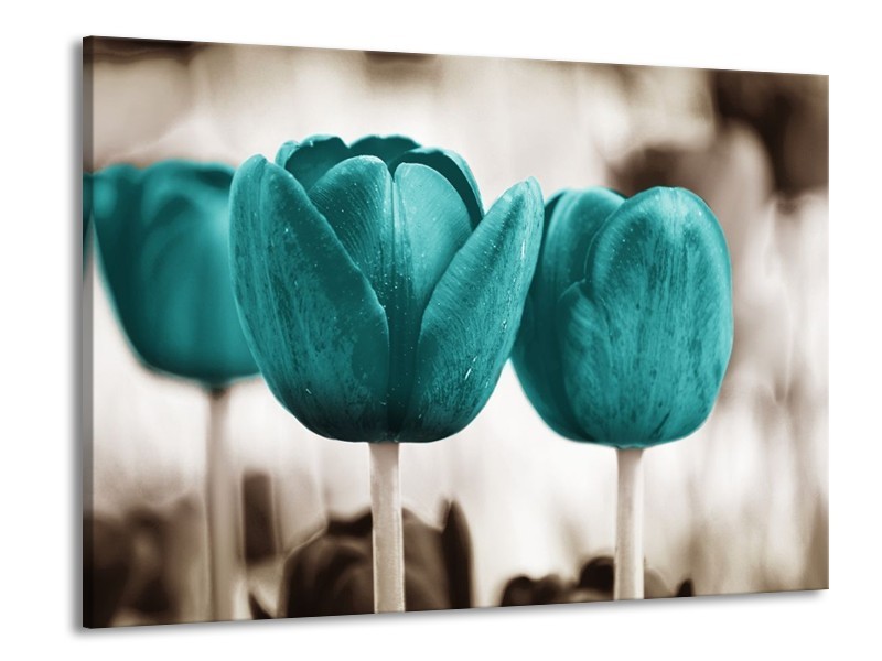 Canvas schilderij Tulpen | Blauw, Wit, Grijs | 100x70cm 1Luik
