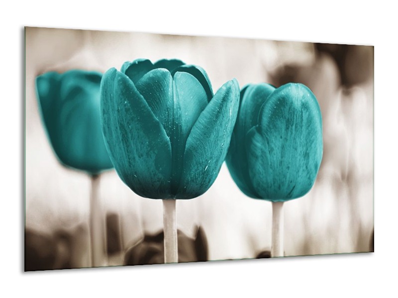 Canvas schilderij Tulpen | Blauw, Wit, Grijs | 120x70cm 1Luik