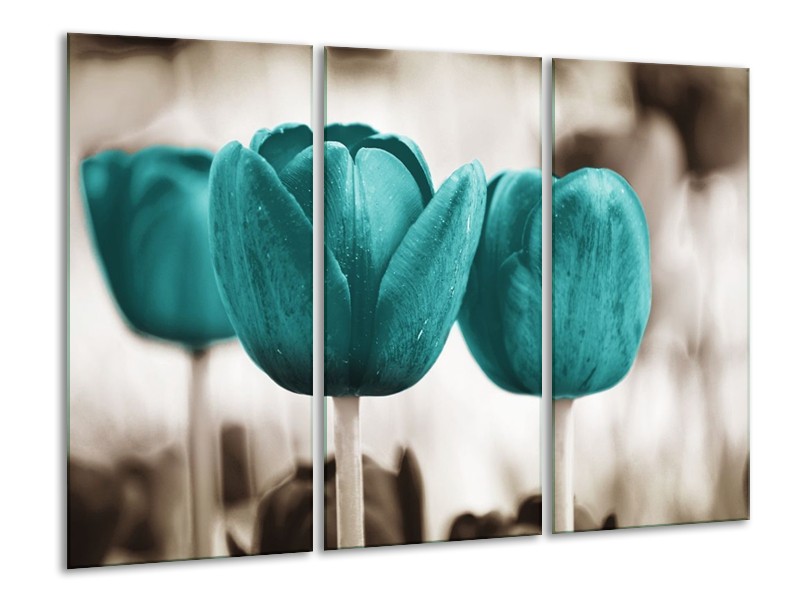 Canvas schilderij Tulpen | Blauw, Wit, Grijs | 120x80cm 3Luik