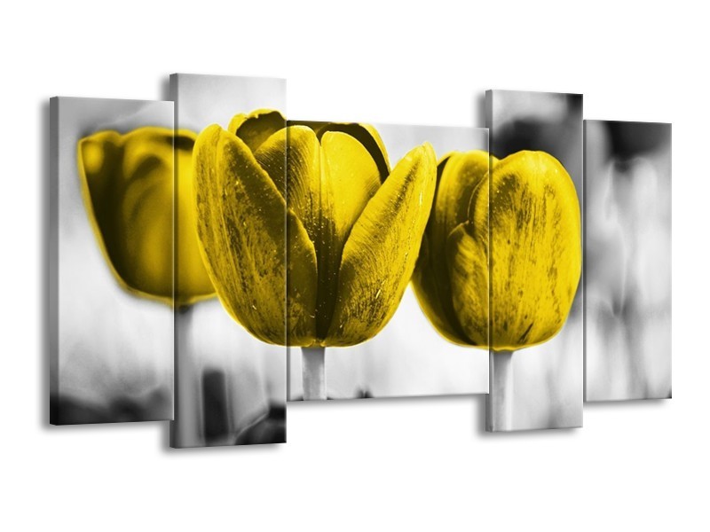 Canvas schilderij Tulpen | Geel, Wit, Grijs | 120x65 5Luik