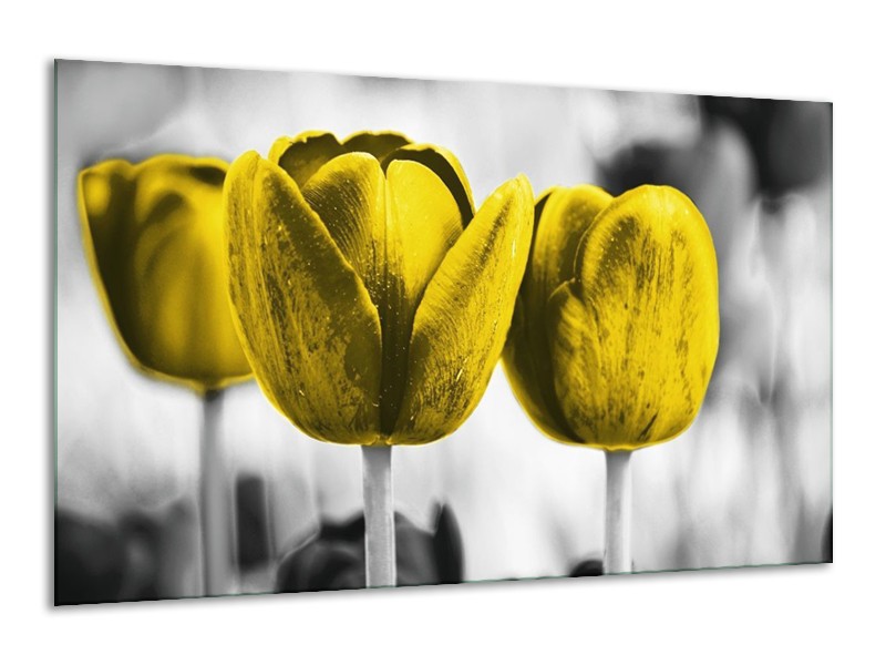 Canvas schilderij Tulpen | Geel, Wit, Grijs | 120x70cm 1Luik