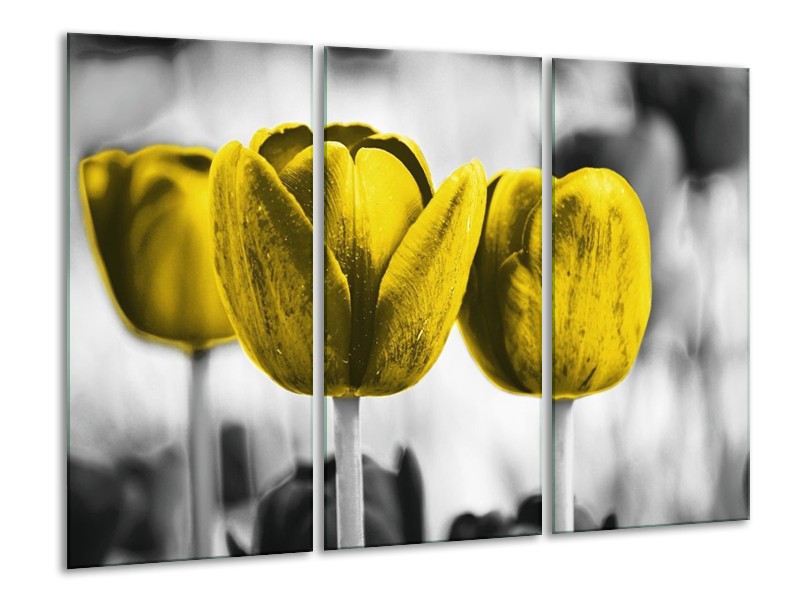 Canvas schilderij Tulpen | Geel, Wit, Grijs | 120x80cm 3Luik
