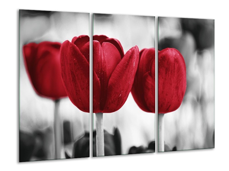 Canvas schilderij Tulpen | Rood, Wit, Grijs | 120x80cm 3Luik