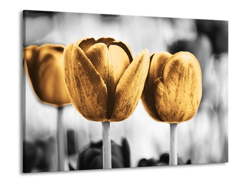 Canvas schilderij Tulpen | Goud, Wit, Grijs | 100x70cm 1Luik