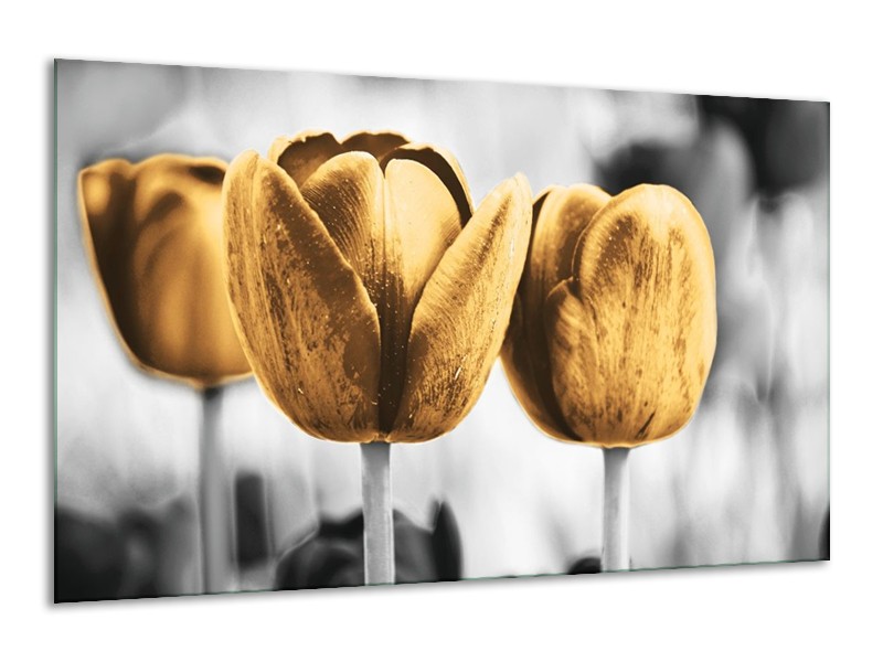 Canvas schilderij Tulpen | Goud, Wit, Grijs | 120x70cm 1Luik