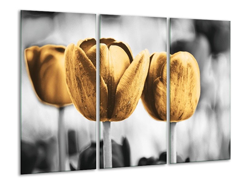 Canvas schilderij Tulpen | Goud, Wit, Grijs | 120x80cm 3Luik