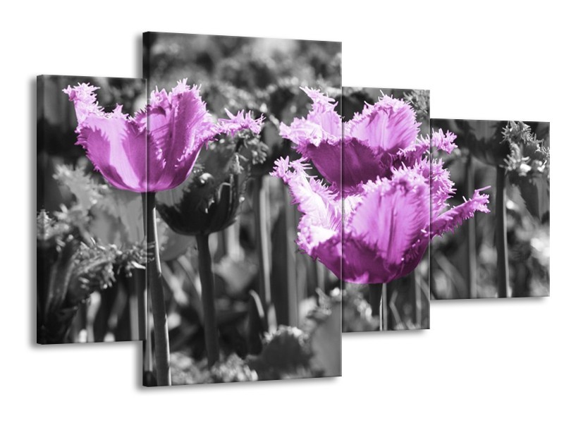 Canvas schilderij Tulpen | Paars, Wit, Grijs | 120x75cm 4Luik