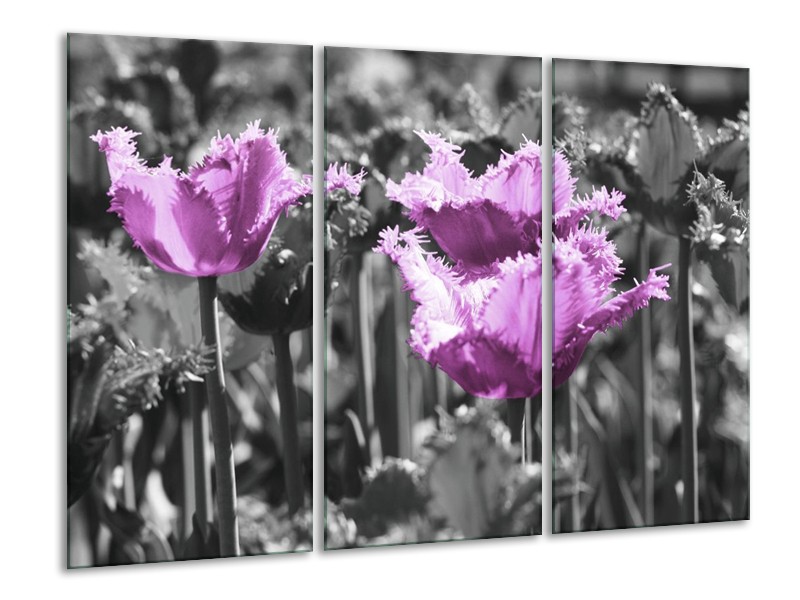 Canvas schilderij Tulpen | Paars, Wit, Grijs | 120x80cm 3Luik