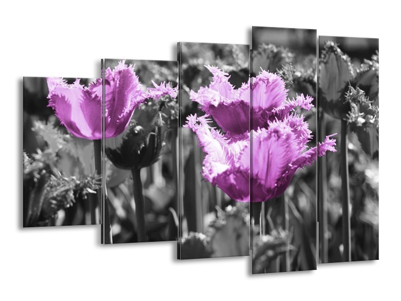 Canvas schilderij Tulpen | Paars, Wit, Grijs | 150x100cm 5Luik