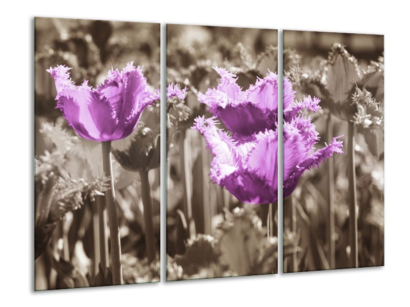 Canvas schilderij Tulpen | Paars, Bruin, Grijs | 120x80cm 3Luik