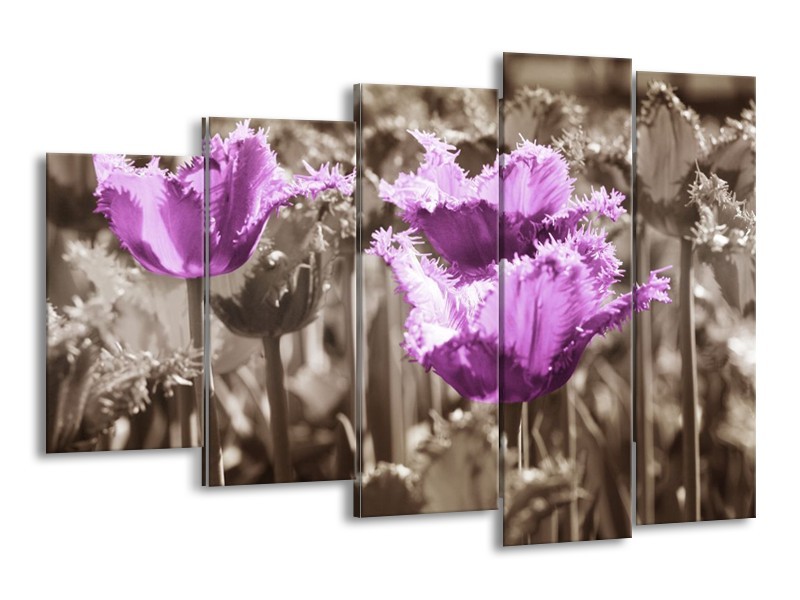 Canvas schilderij Tulpen | Paars, Bruin, Grijs | 150x100cm 5Luik
