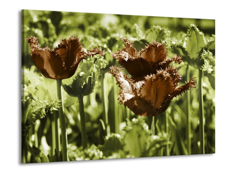Canvas schilderij Tulpen | Groen, Bruin | 100x70cm 1Luik