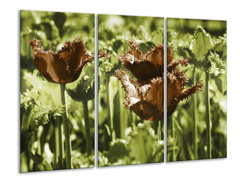 Canvas schilderij Tulpen | Groen, Bruin | 120x80cm 3Luik