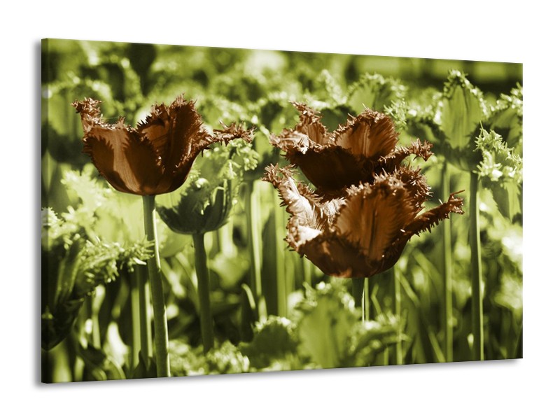 Canvas schilderij Tulpen | Groen, Bruin | 140x90cm 1Luik