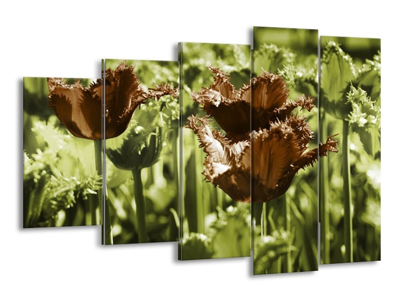 Canvas schilderij Tulpen | Groen, Bruin | 150x100cm 5Luik