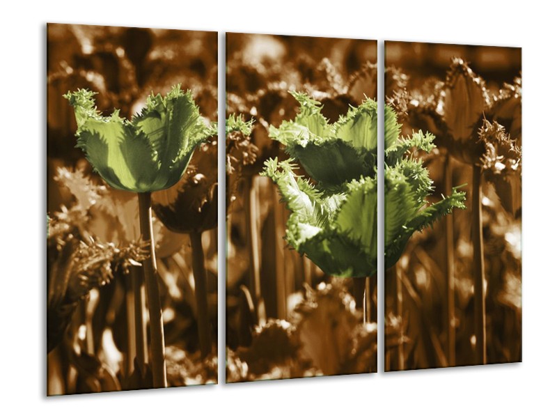 Canvas schilderij Tulpen | Groen, Bruin | 120x80cm 3Luik