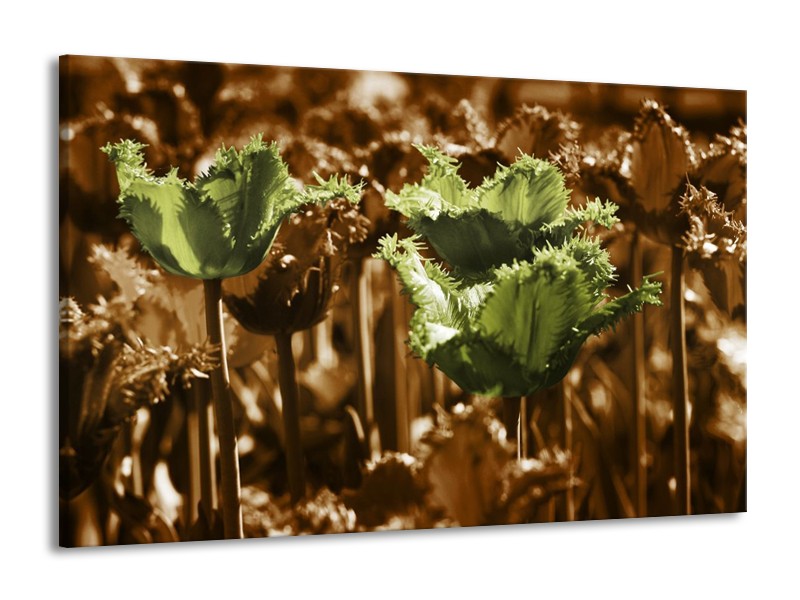 Canvas schilderij Tulpen | Groen, Bruin | 140x90cm 1Luik