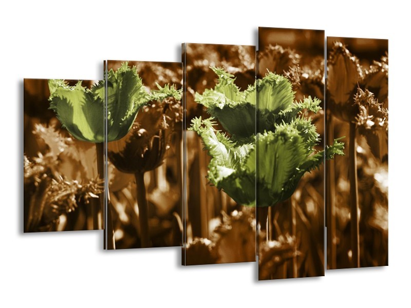 Canvas schilderij Tulpen | Groen, Bruin | 150x100cm 5Luik