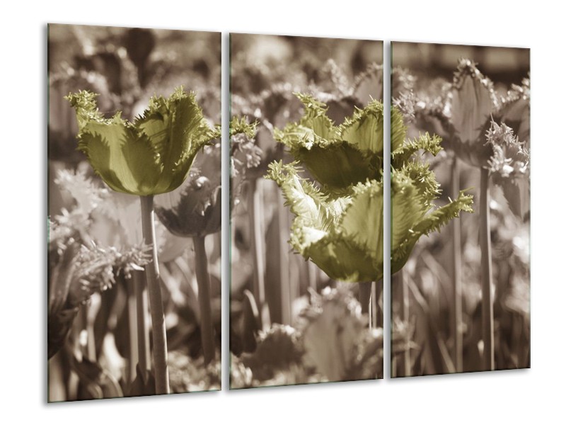 Canvas schilderij Tulpen | Groen, Bruin | 120x80cm 3Luik