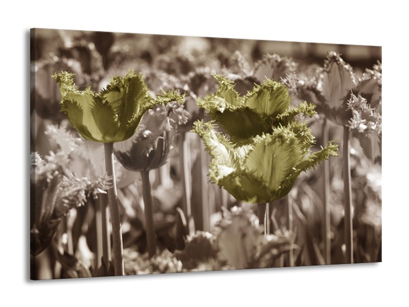 Canvas schilderij Tulpen | Groen, Bruin | 140x90cm 1Luik