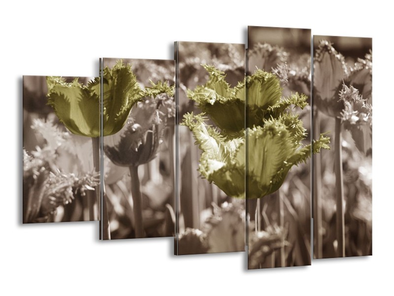 Canvas schilderij Tulpen | Groen, Bruin | 150x100cm 5Luik