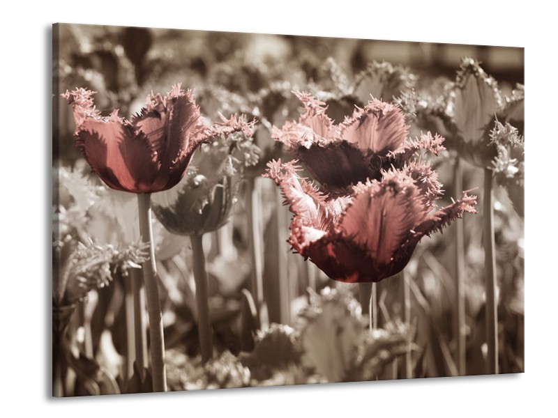 Canvas schilderij Tulpen | Groen, Bruin | 100x70cm 1Luik
