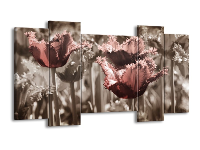 Canvas schilderij Tulpen | Groen, Bruin | 120x65 5Luik