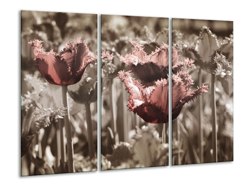 Canvas schilderij Tulpen | Groen, Bruin | 120x80cm 3Luik
